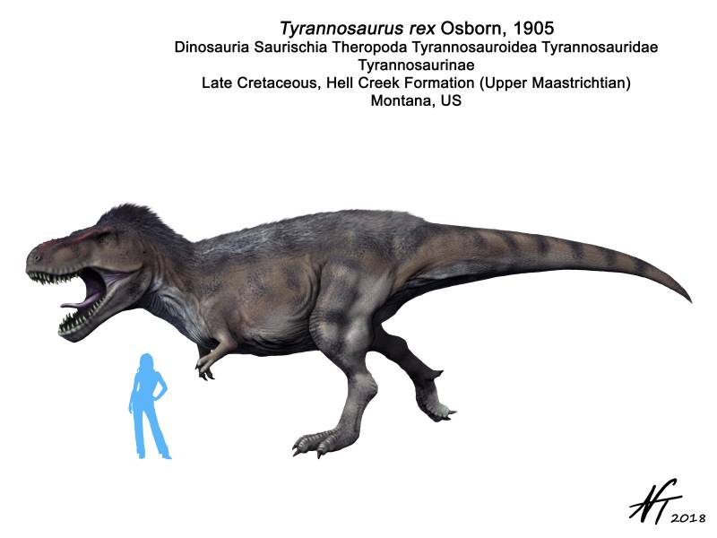 Tyrannosaurus7_NT